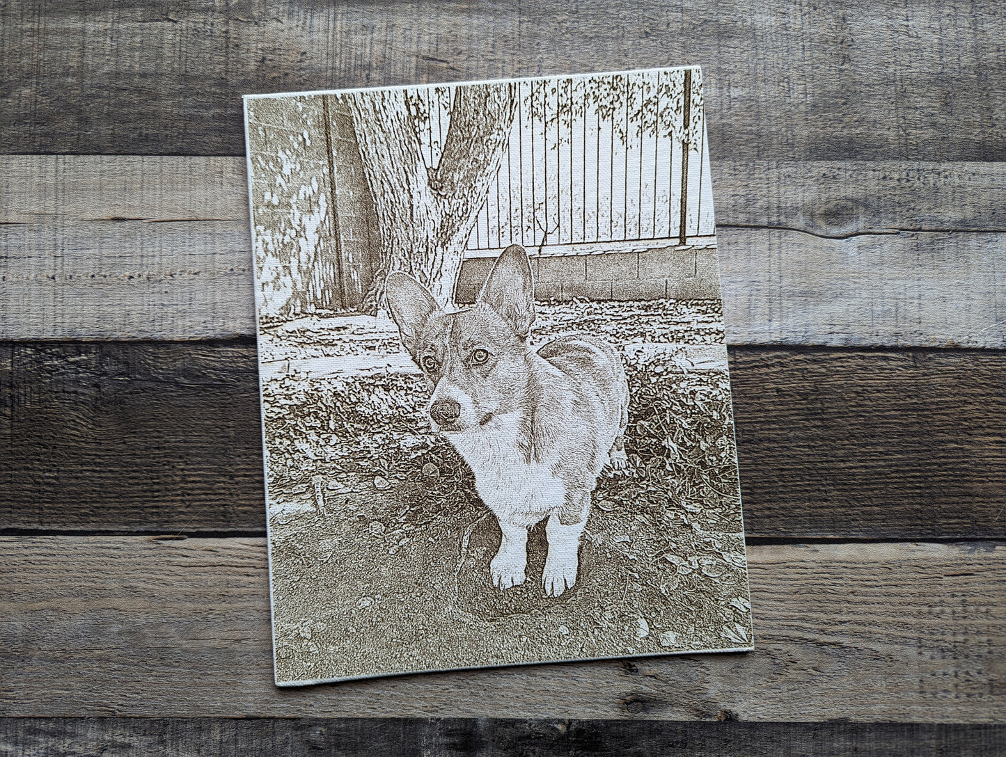 Pet Portrait