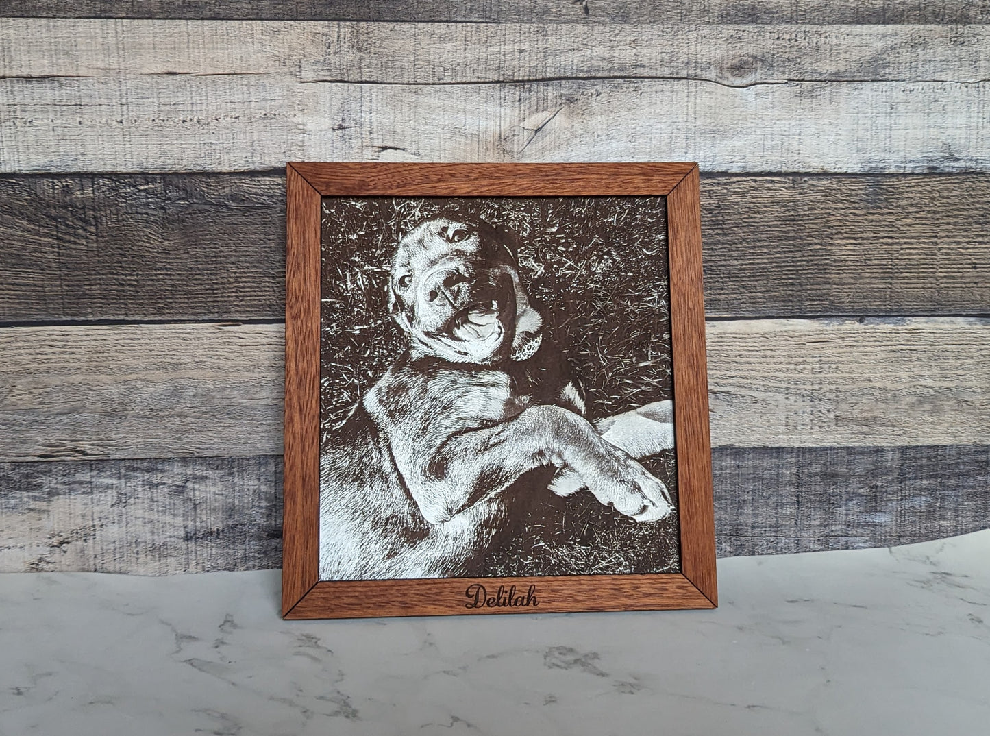Pet Portrait