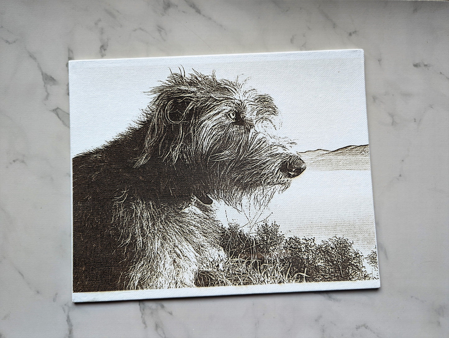 Pet Portrait