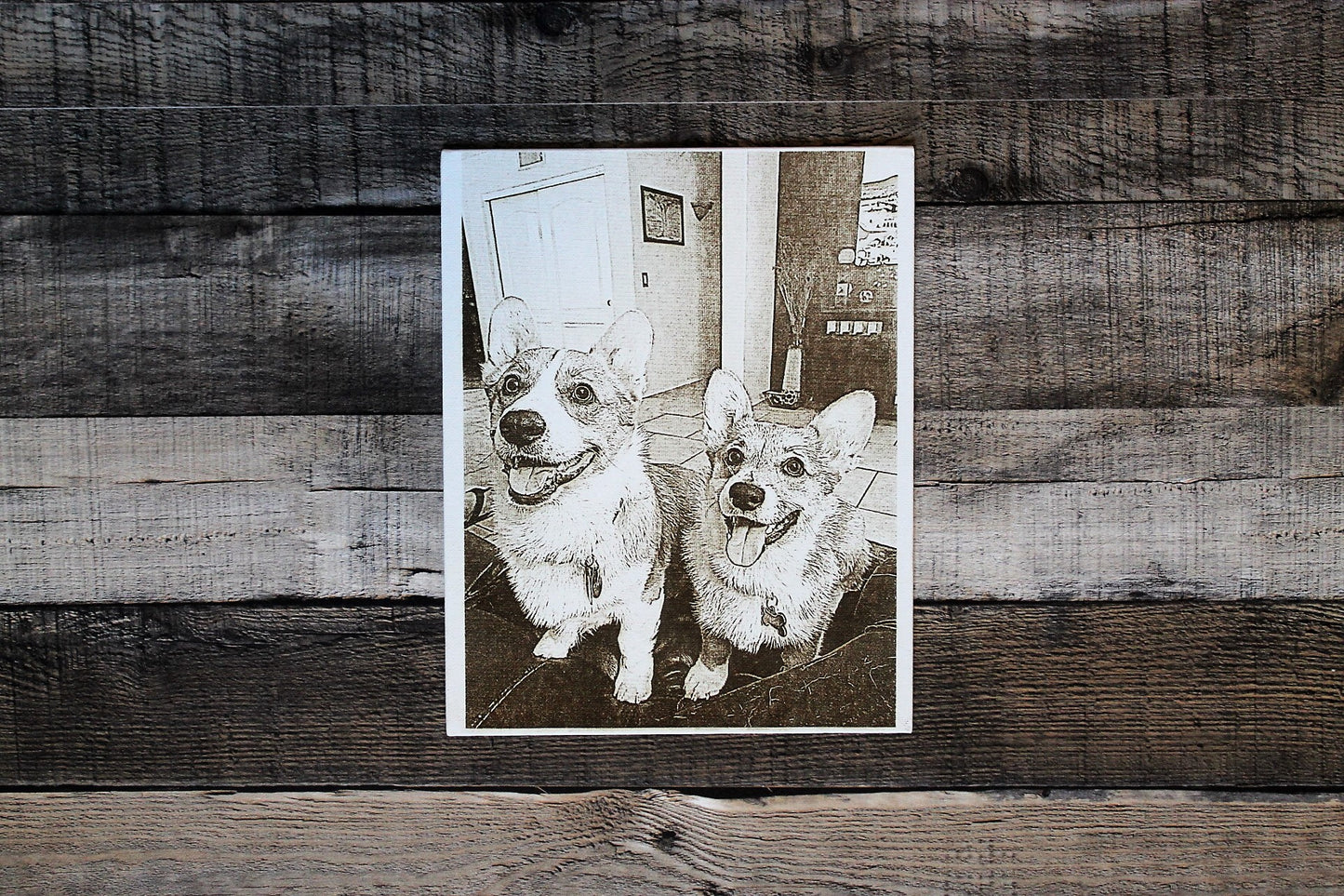 Pet Portrait